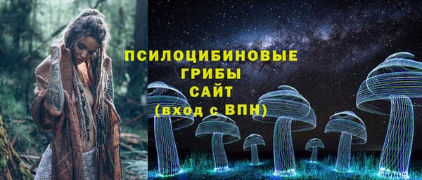 стафф Медногорск