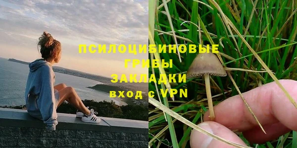 стафф Медногорск