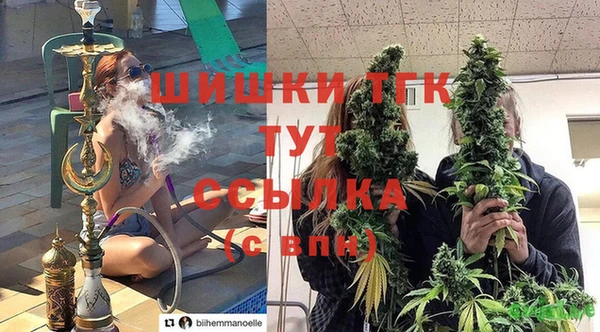 стафф Медногорск