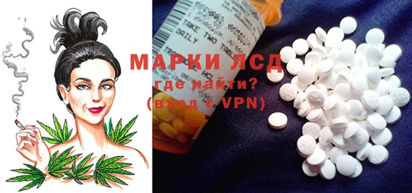 стафф Медногорск