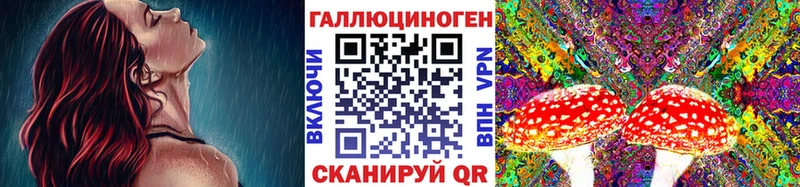 Купить  Кизел  Псилоцибиновые грибы прущие грибы 